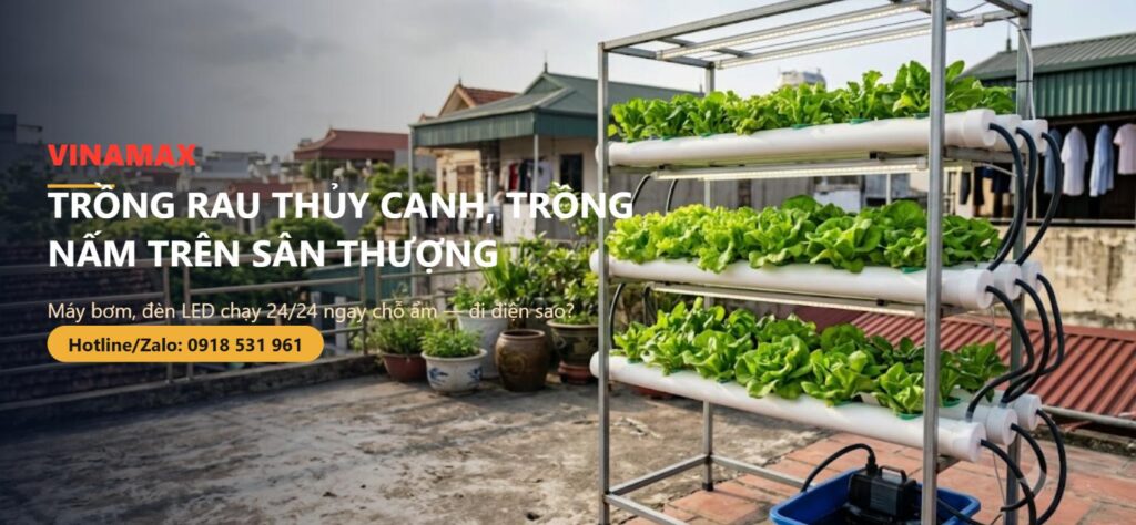 Giàn rau thủy canh trên sân thượng nhà Việt Nam với đèn LED và máy bơm, minh họa cách đi điện an toàn