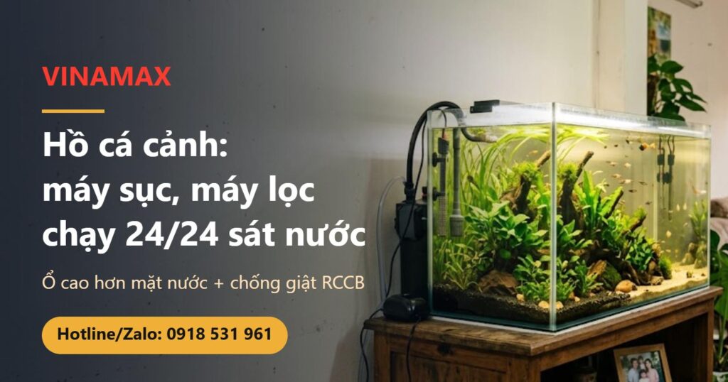 Hồ cá cảnh đặt trên tủ gỗ trong phòng khách, máy lọc và ống máy sục chạy phía sau, đèn hồ sáng